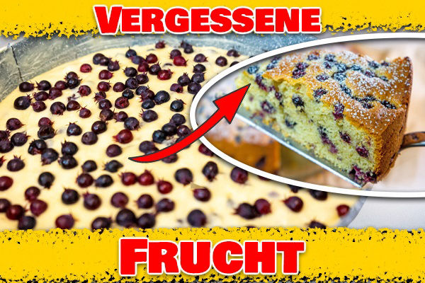 Die Vergessene Sommerfrucht